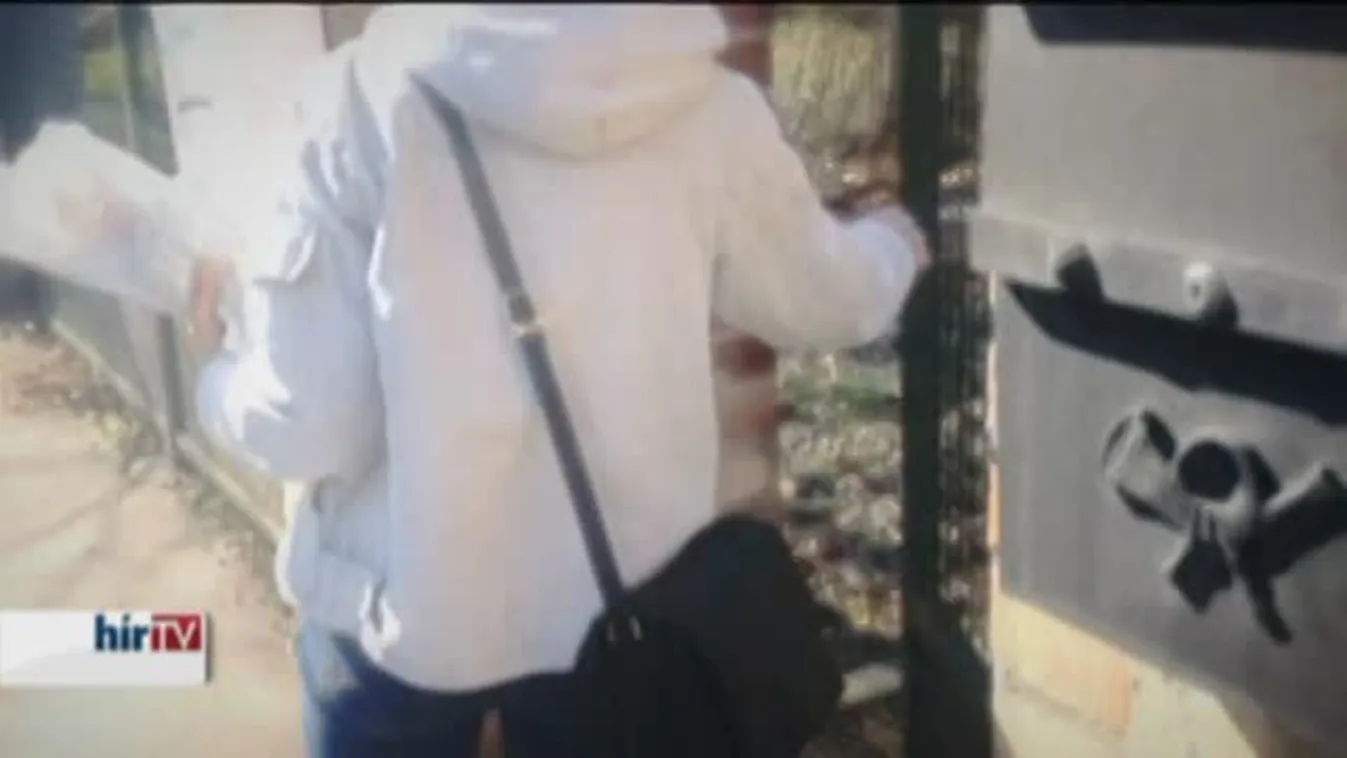 Panaszkönyv – A bárányok hallgatnak, az eredmény beszédes