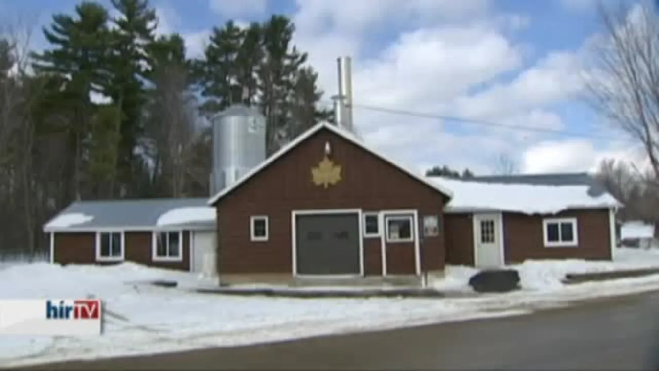 A hideg miatt késve kezdődött a juharszirup-szezon