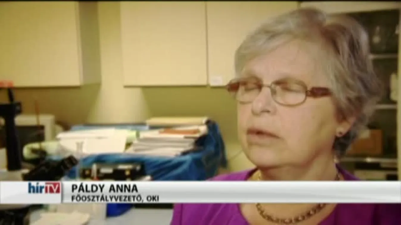 Panaszkönyv – Nagy napszemüvegteszt