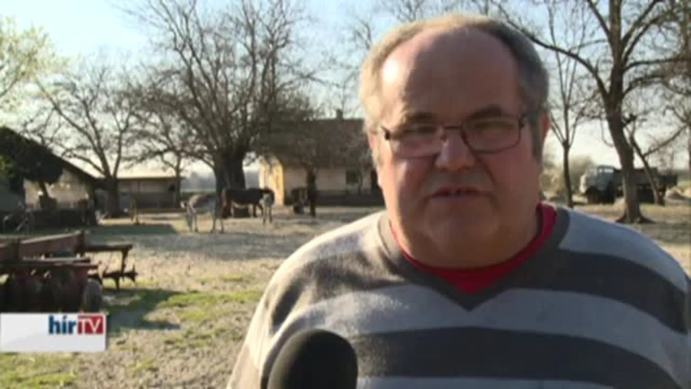 Soroló – A túlszaporodás lett a rágcsálók veszte