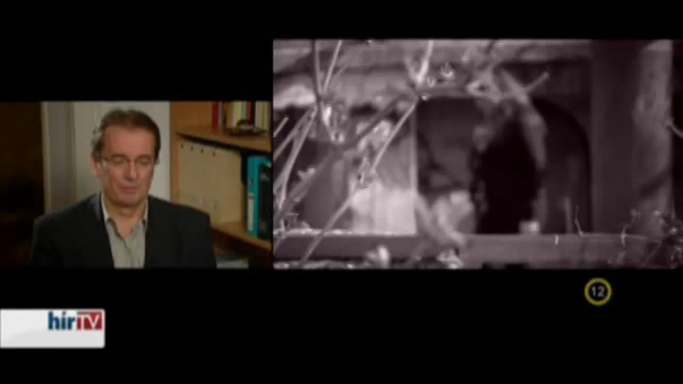 Gyógyhír – Miért ragadnak pengét a tinik?