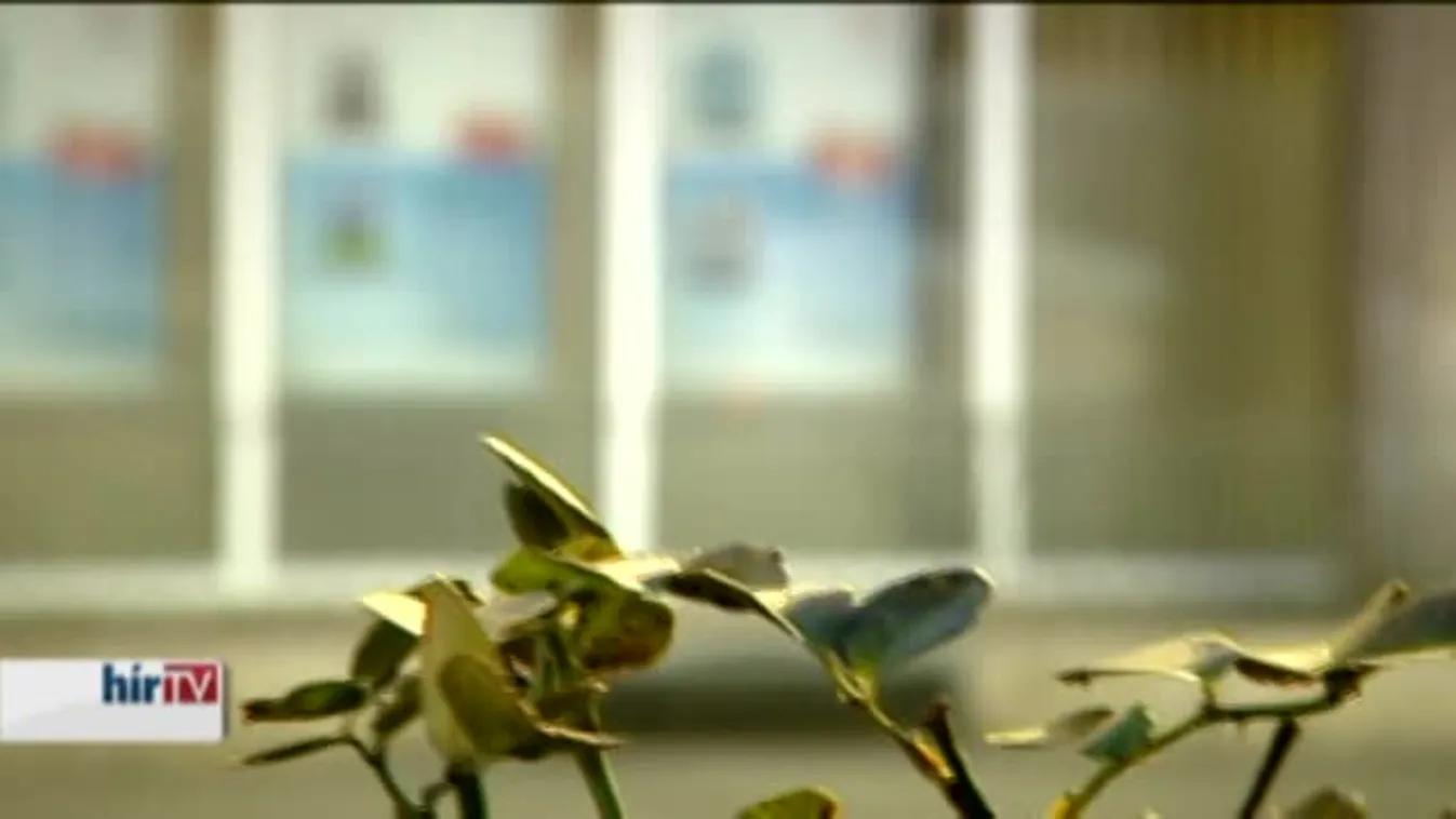 Ingatlanpiac – A forintosítás folyamata; Smart City