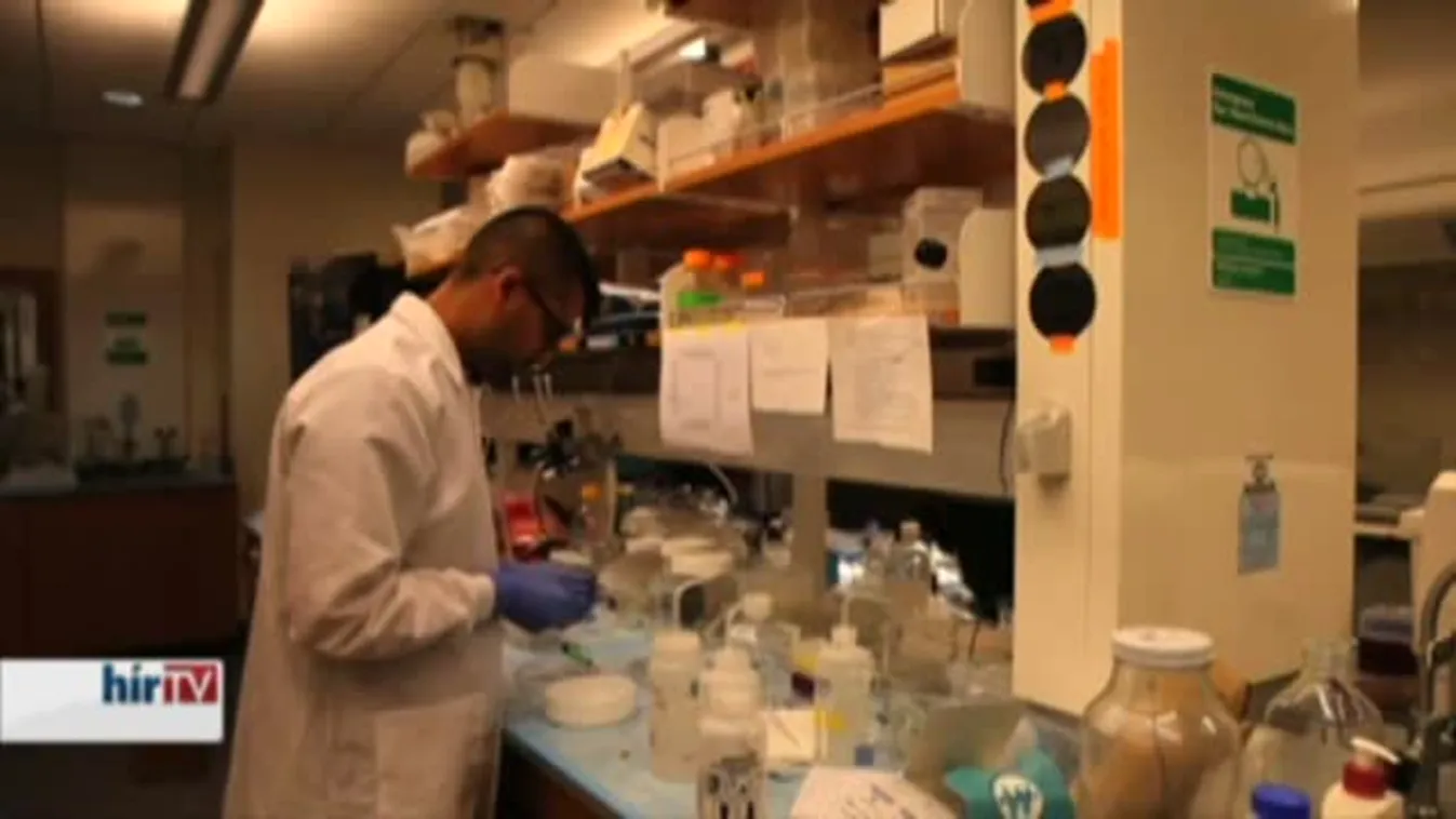 Felfedező – Kaptár