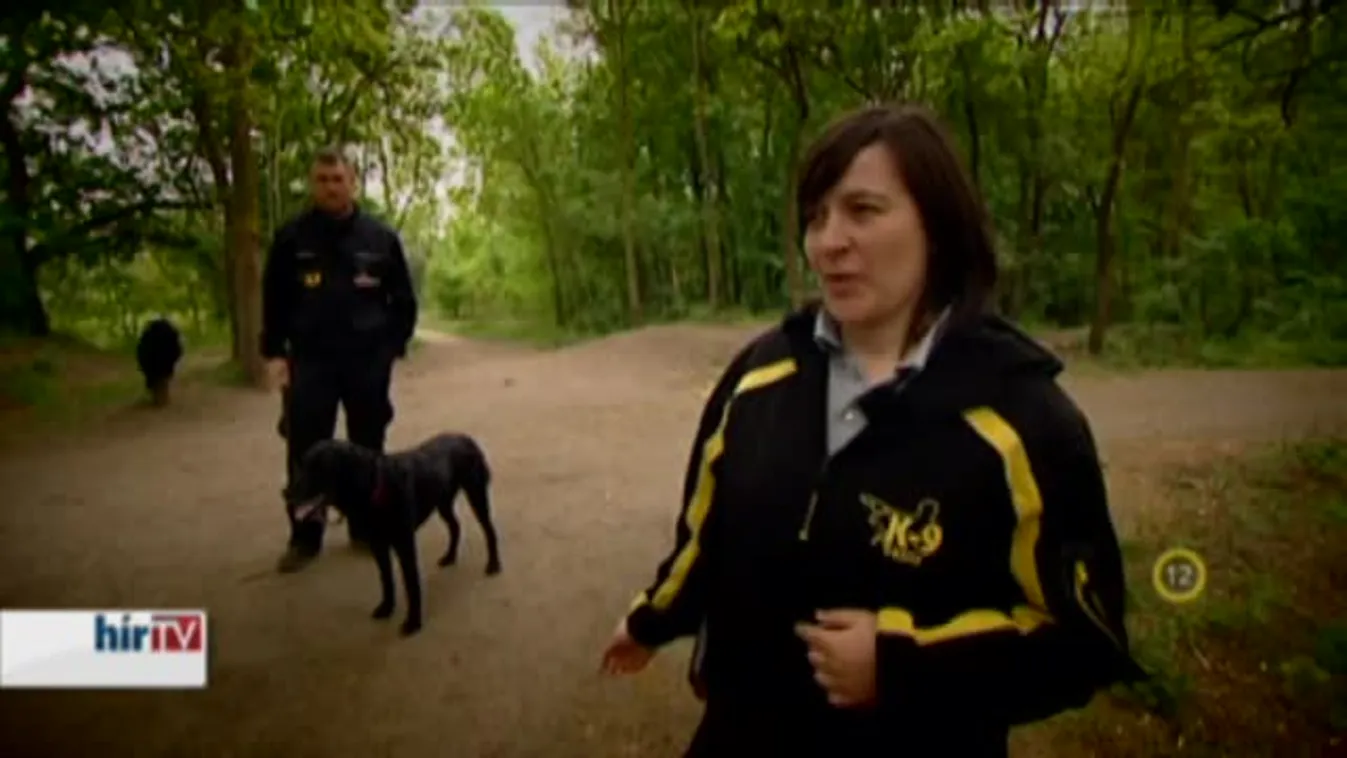 Gyógyhír - Mentőkutyák