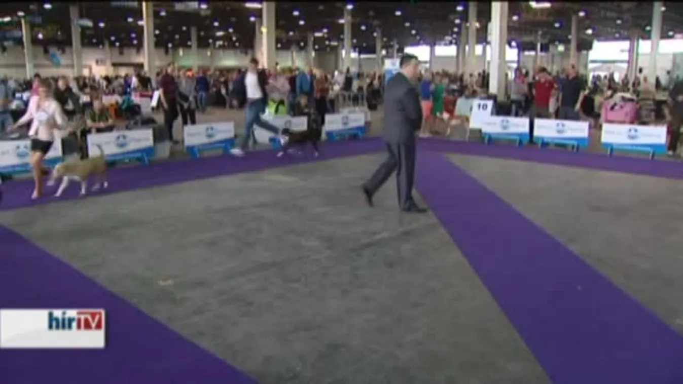 Ötezer kutya versengett a díjért