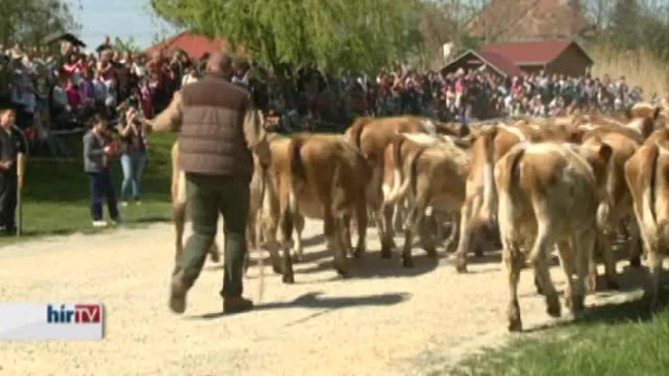 Soroló – Friss agrárdiplomás fiatalok húsmarhatartásba fogtak