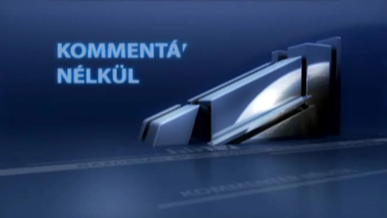 Kenguru költözött Brisbane külvárosába