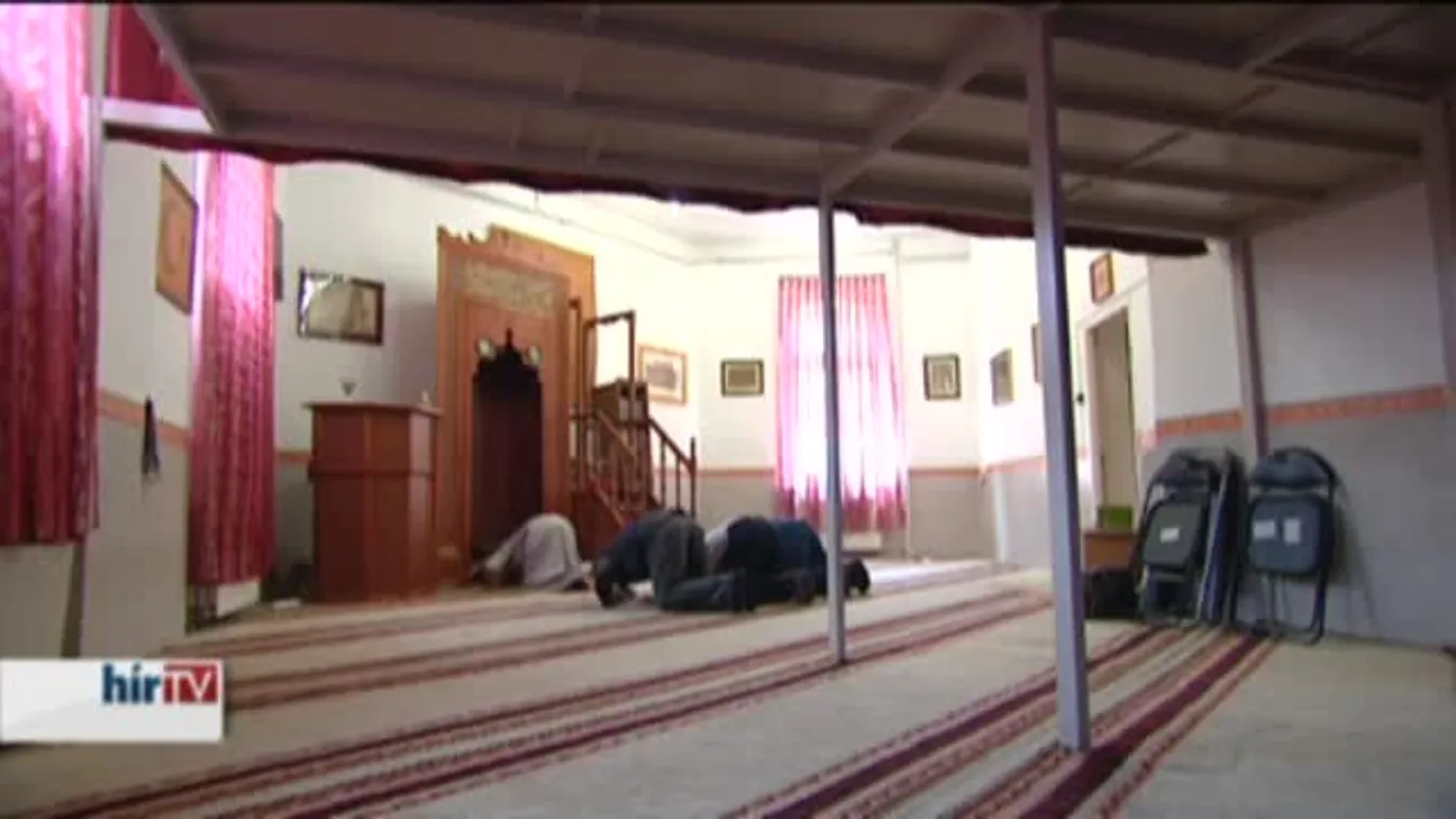 Hírvilág – Pátriárka