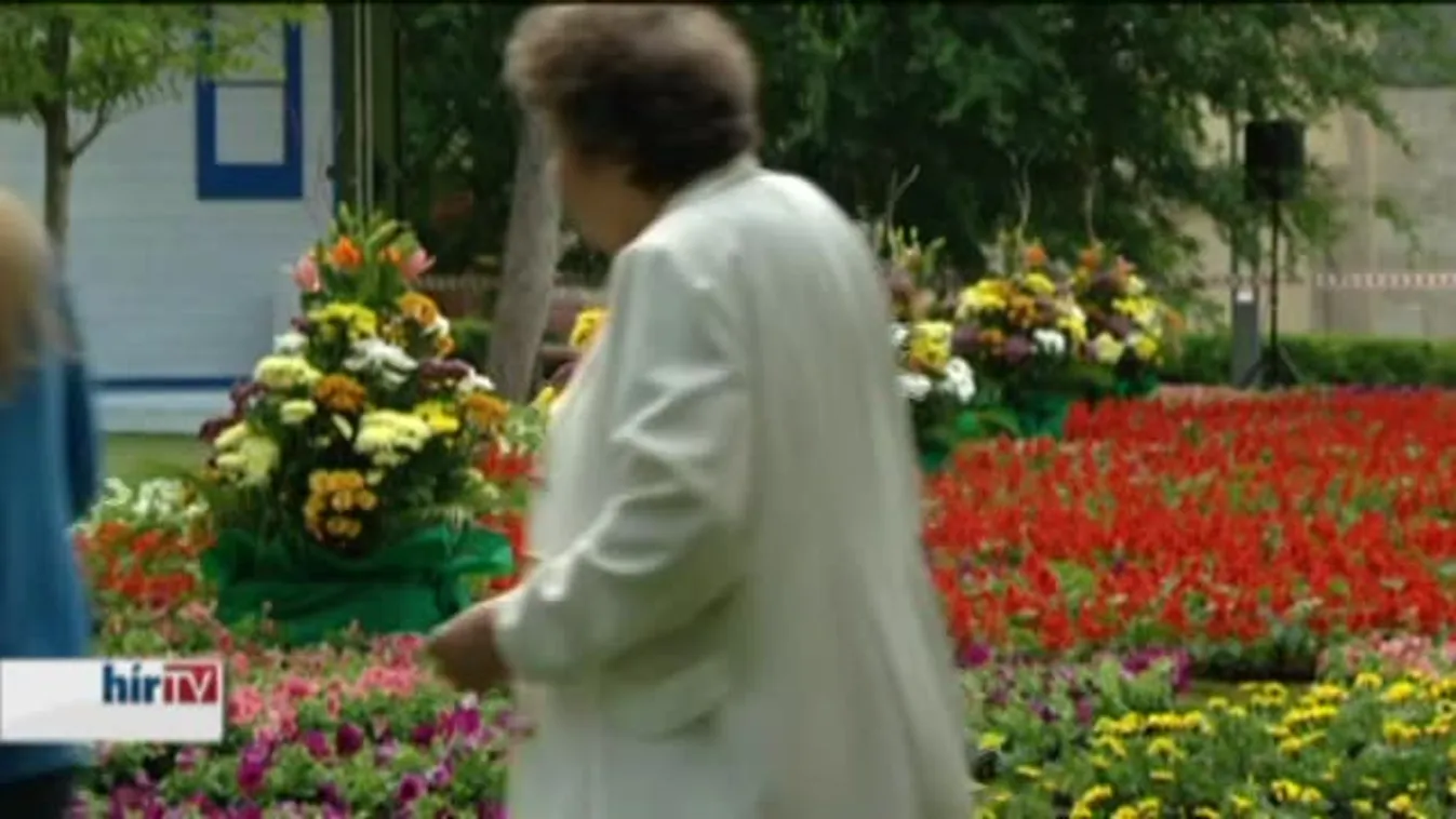 Virágszőnyeg a Március 15. téren