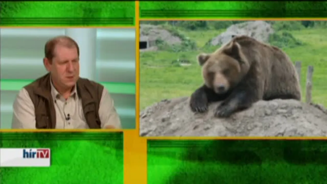 Zöld övezet – A medve visszatér