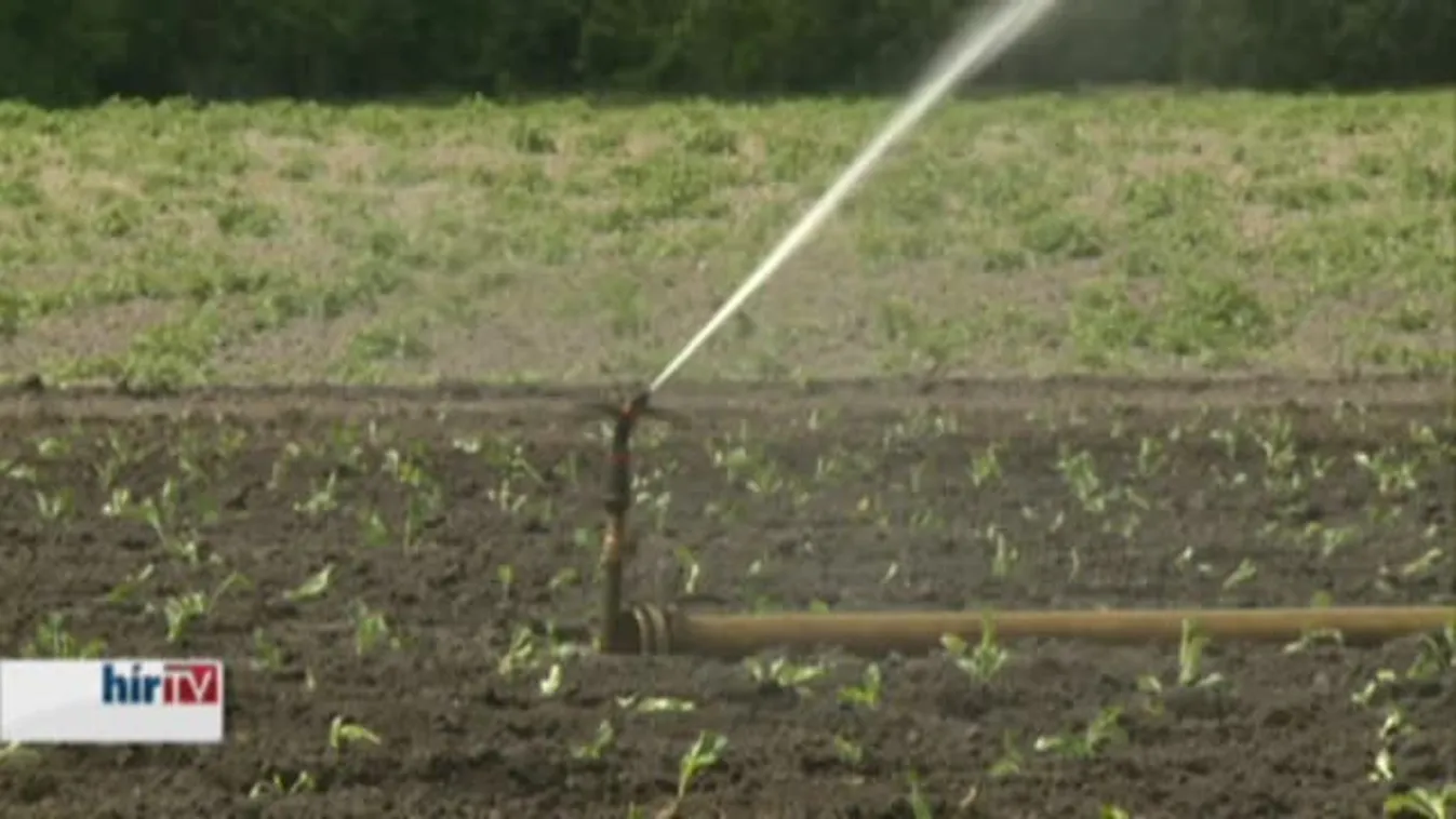 Soroló - Kivonták a forgalomból