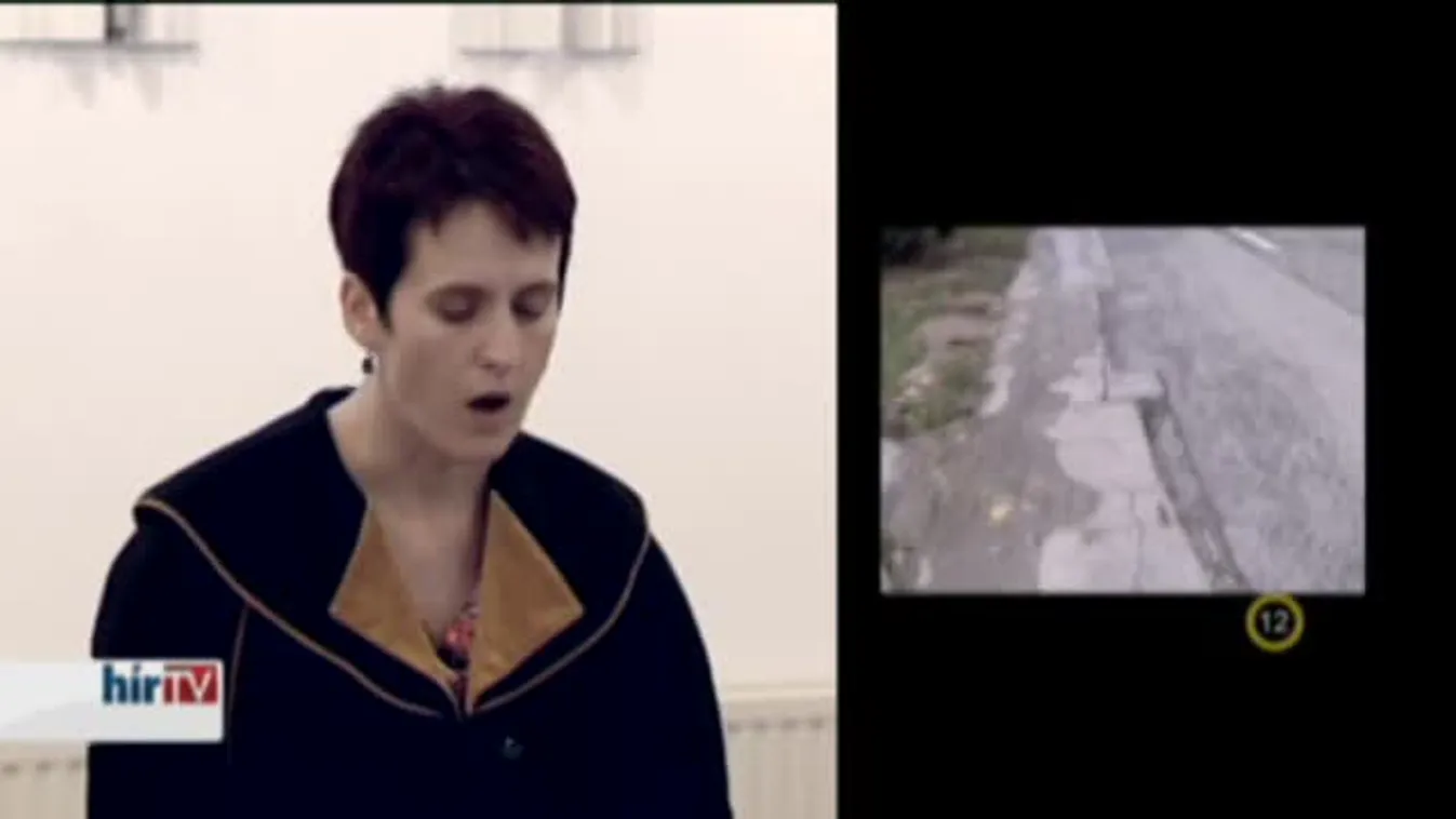 Riasztás - Súlyosabb büntetést kapott az érdi gyermekgázoló