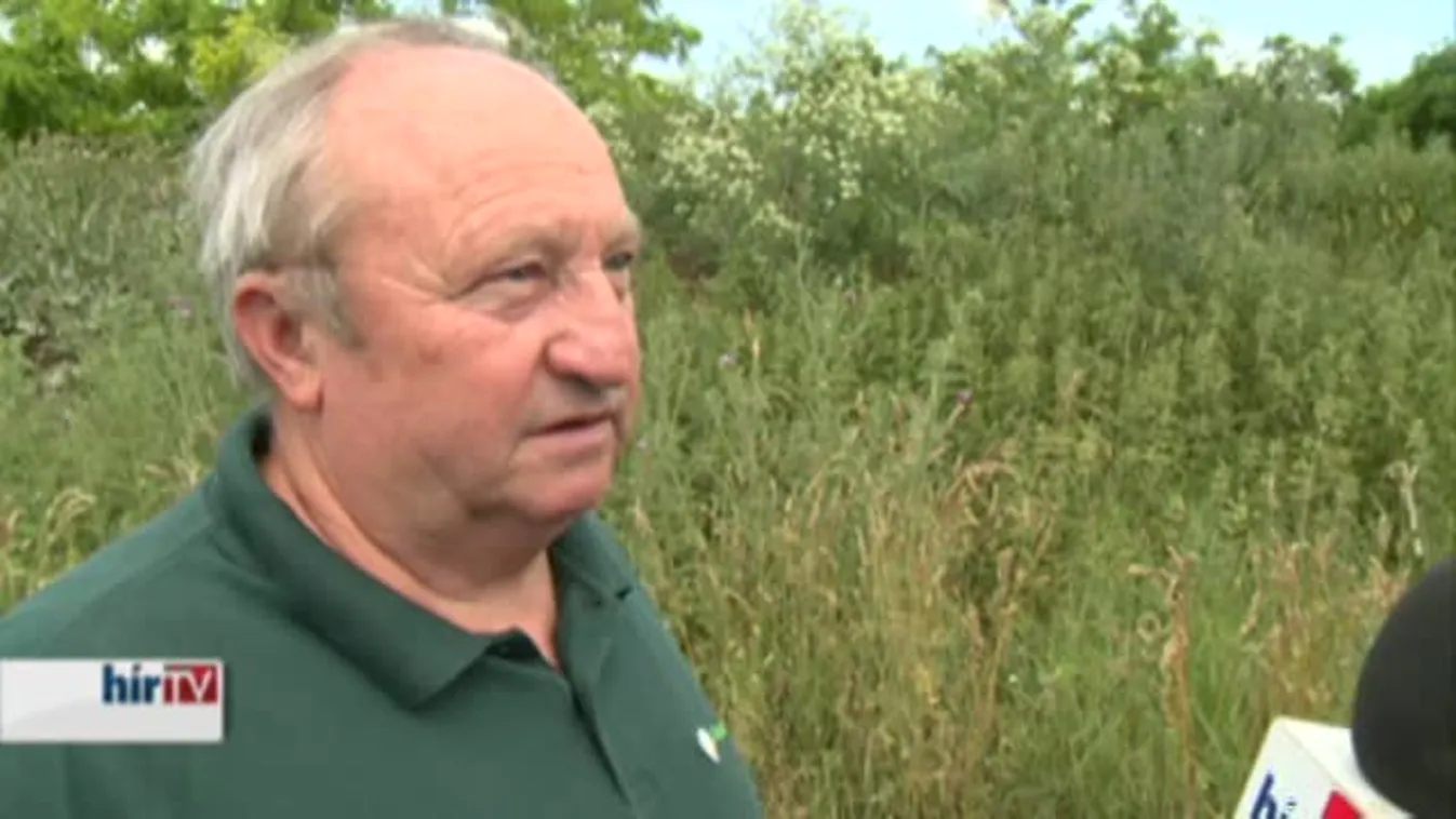 Soroló – Szeméthegy szántóföldön és dűlőúton felhalmozva