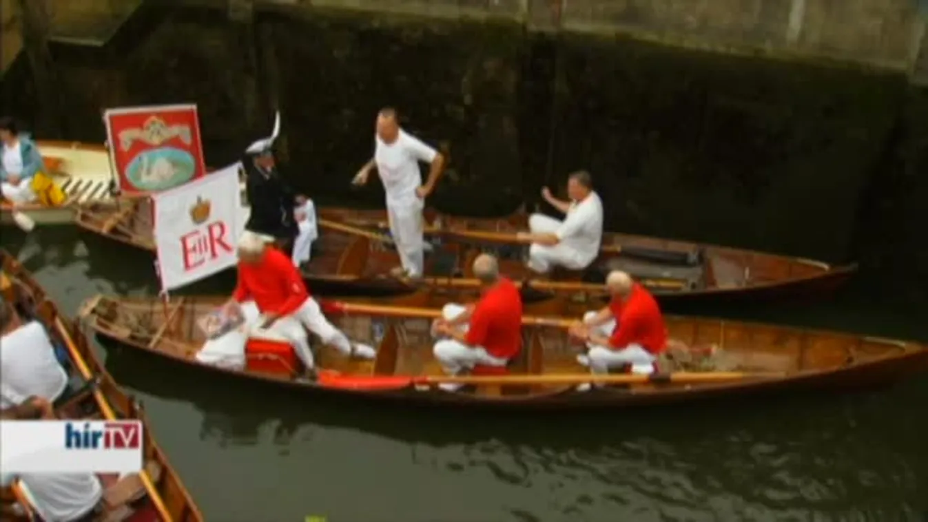 Hattyúszámlálás a Temzén, Anglia