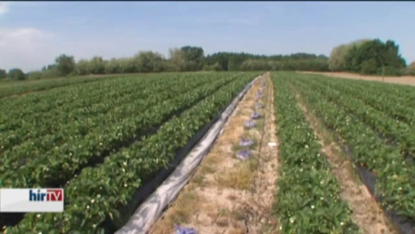 A feldarabolás sem segít