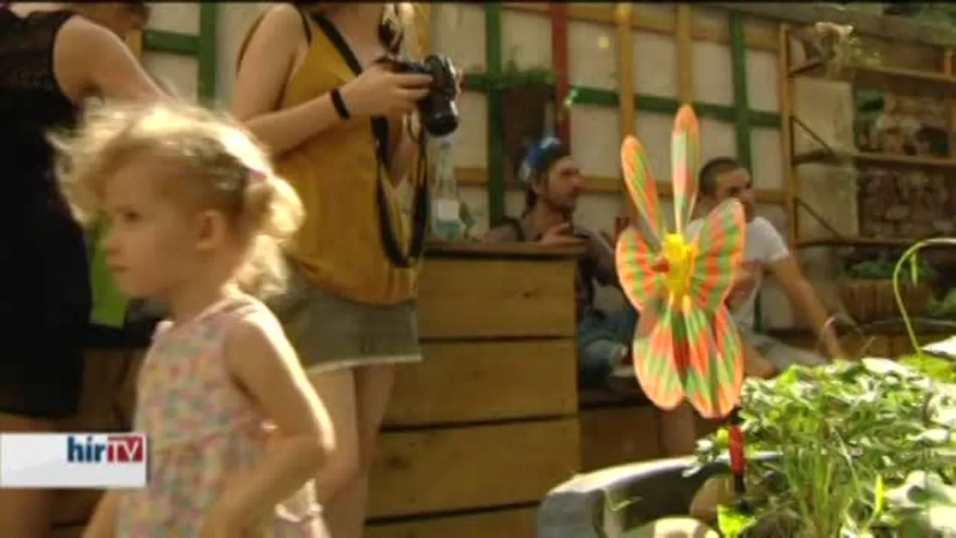 Másfél Margit-szigetnyi területet zöldítettek be