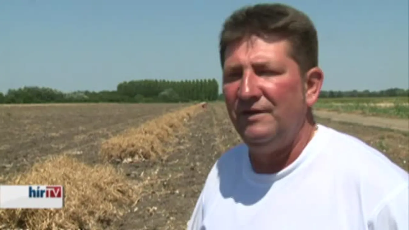 Soroló – Télálló fokhagyma