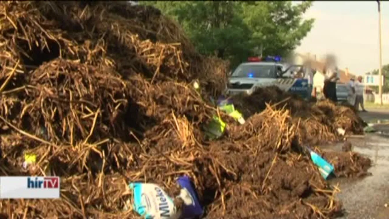 Csőd szélére kerülhetnek a hazai tejtermelők