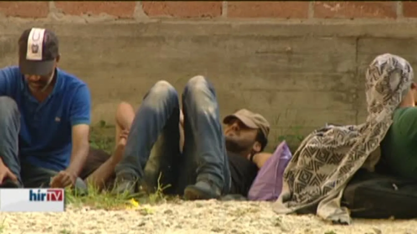 Hírvilág – Szükséghelyzet