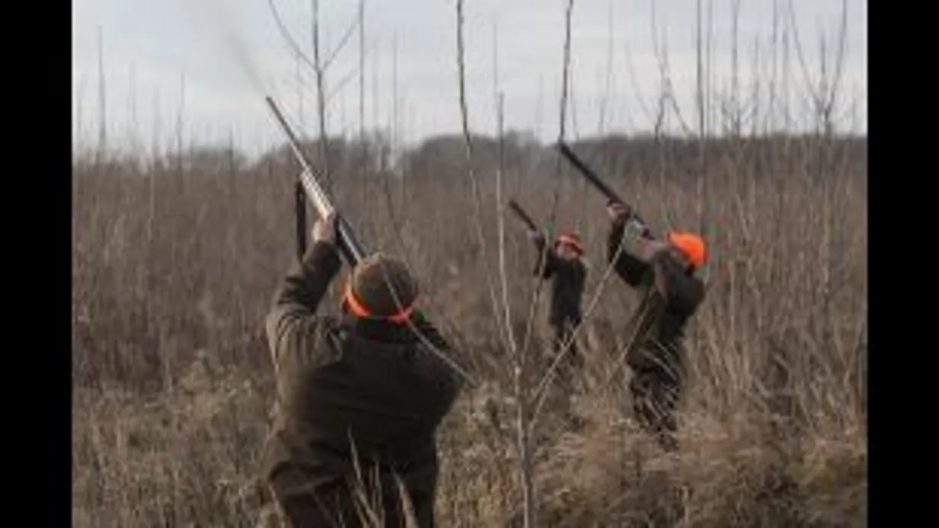 Több a nagyvad, fogynak a foglyok? – Pechtol János