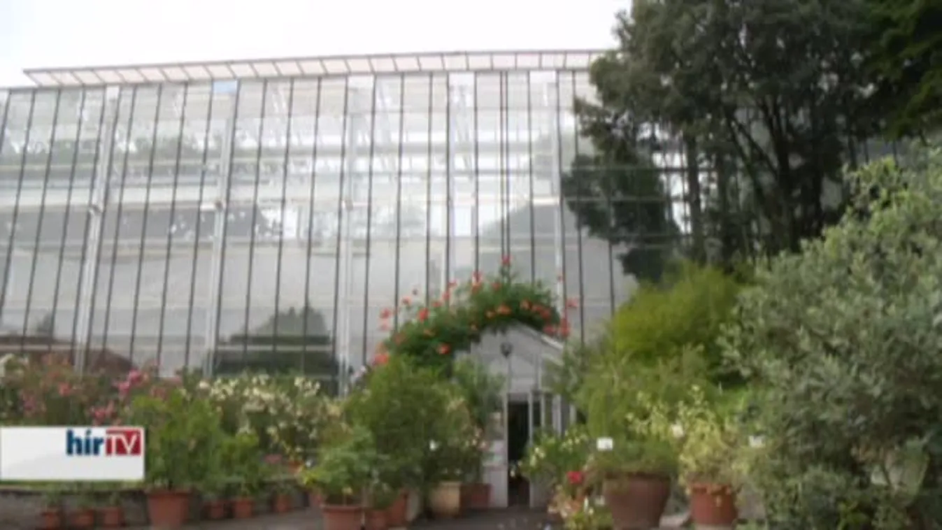  Befejeződött a Pécsi Tudományegyetem botanikus kertjének felújítása