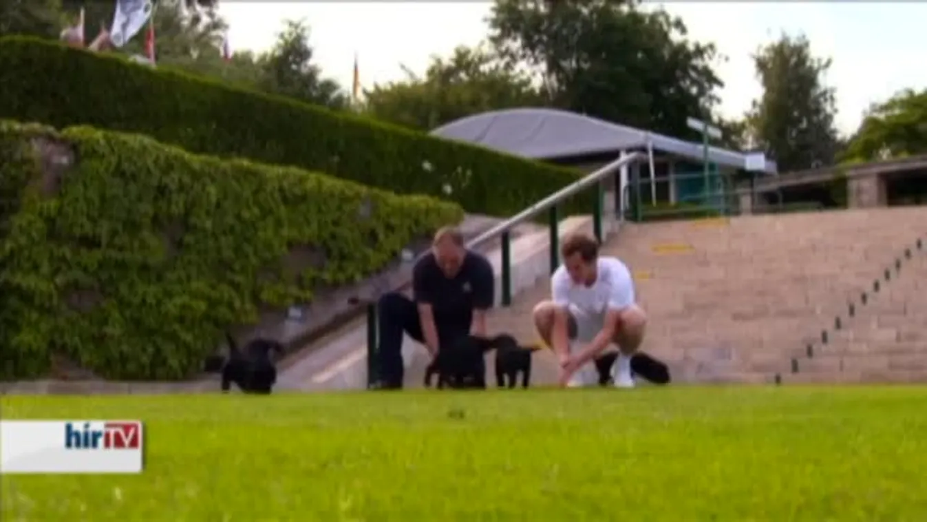 Andy Murray és a rekreáció, London