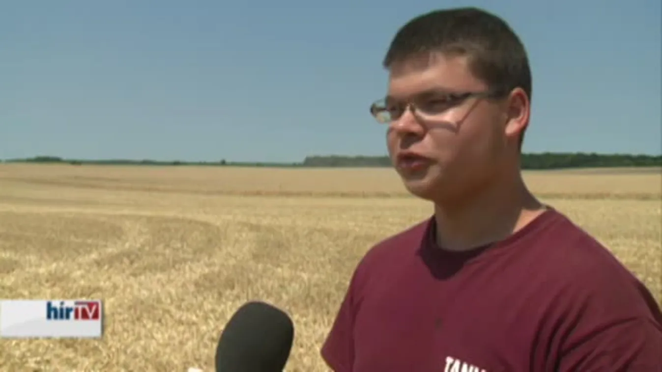 Soroló - Félezer birkát vágtak le