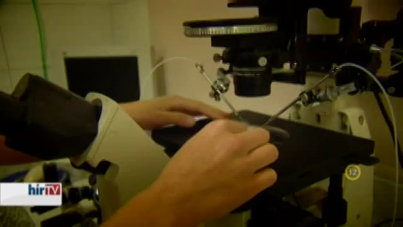 Gyógyhír – Lombikcsodák