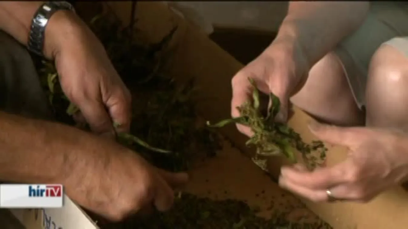 Vissza a jövőbe, ahogy még soha