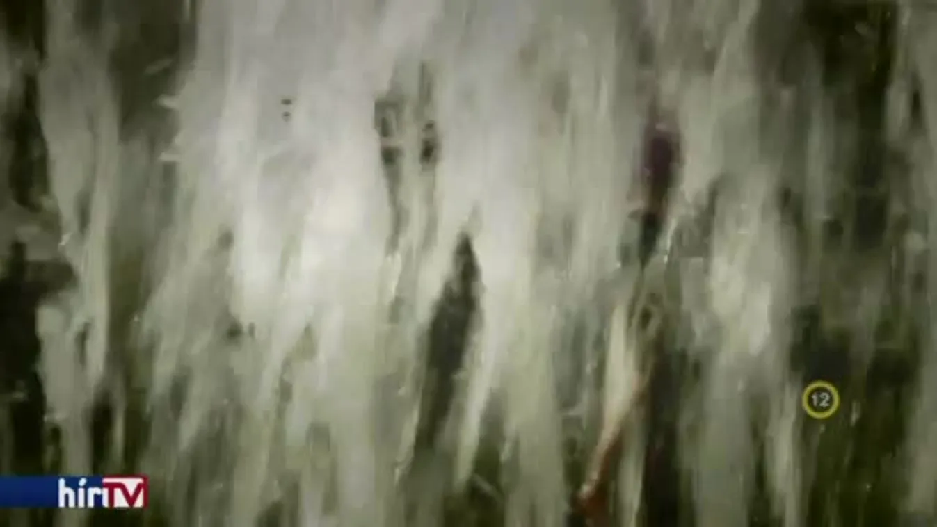 Gyógyhír – Lezárult az idei nagy elsősegélyteszt