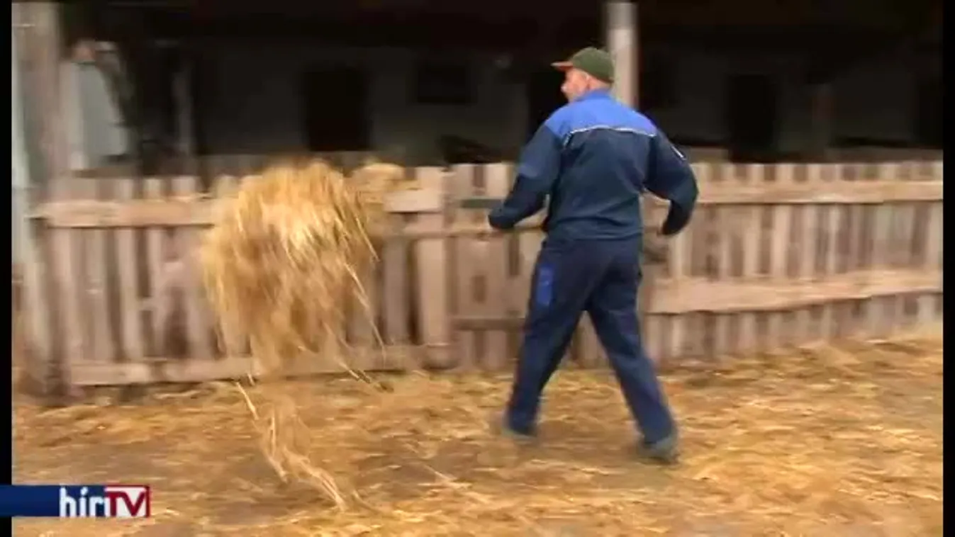 Olcsóbb lehetne bérelni, mint hitellel megvásárolni?