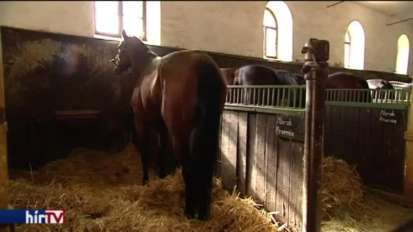 Postás, informatikus, könyvtáros is kapott földet