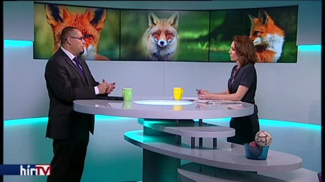 Reggeli járat  - Veszettség elleni csalétek rókáknak