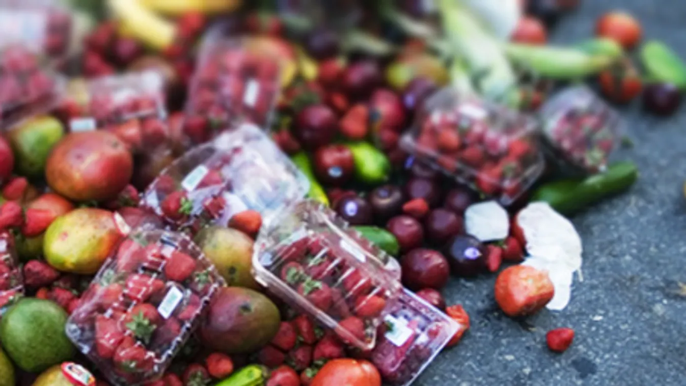 Pazarlás – Reggeli járat