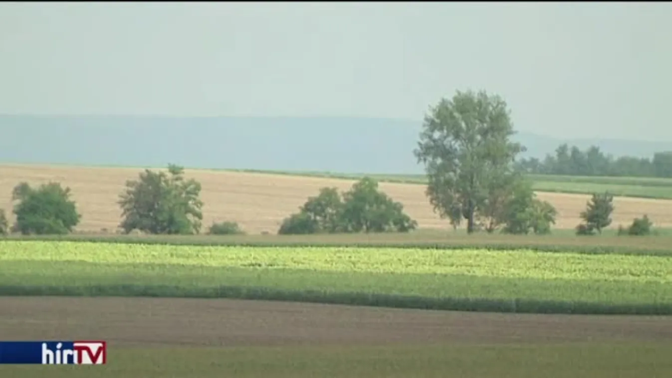 Itt elérhető lesz a pályázható földek helyrajzi számai