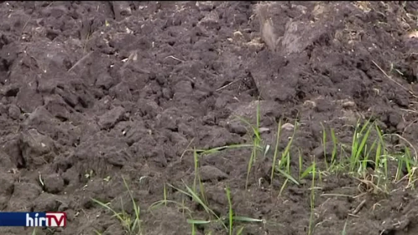 Magyarország élőben - Védett területeket is értékesítenek?