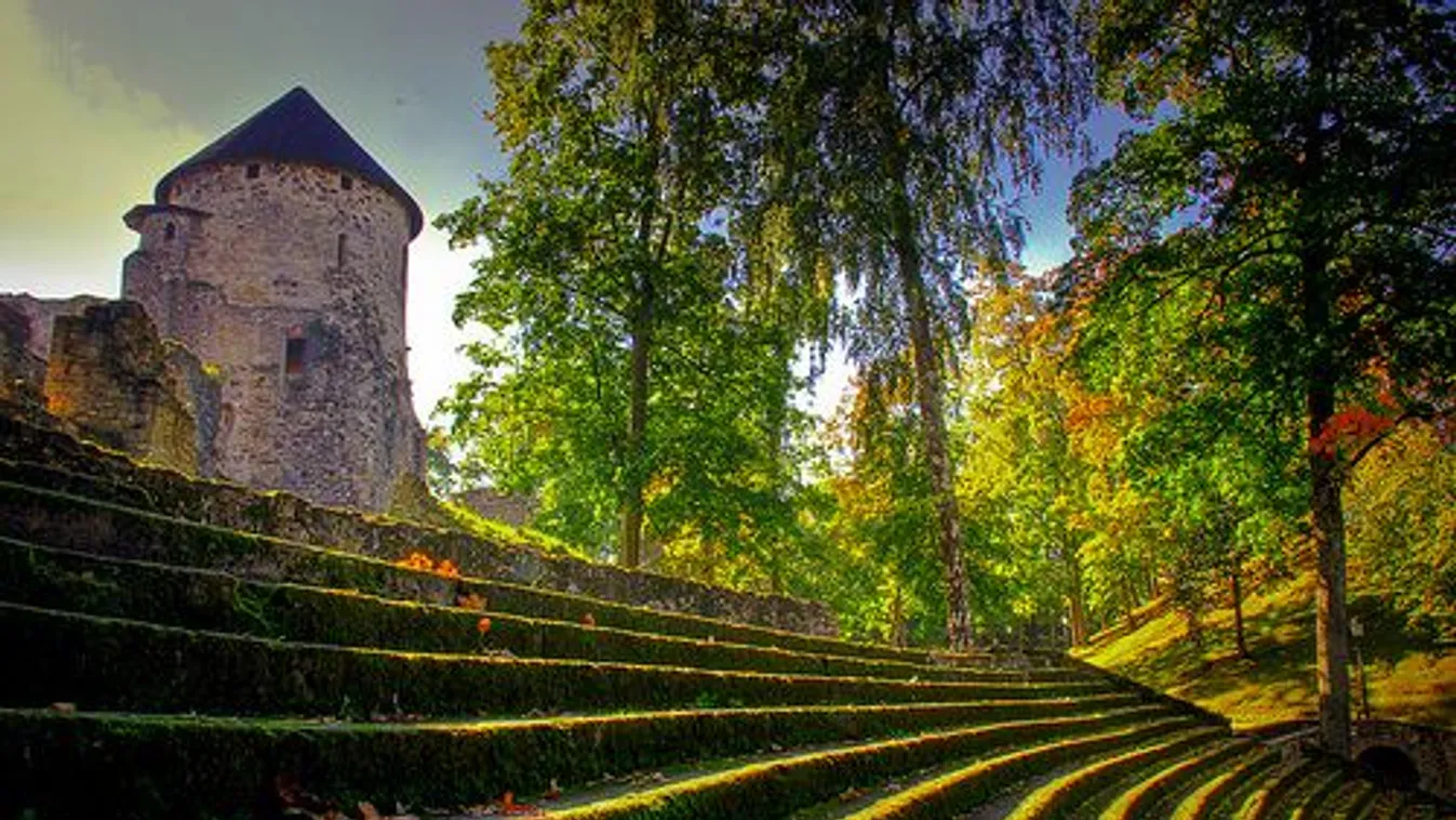 Mocsárjárók – Felfedező