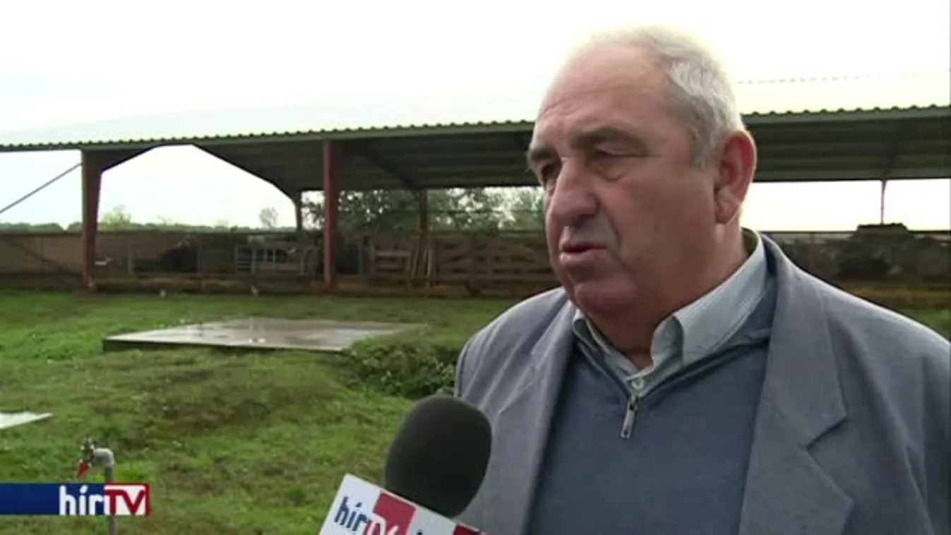 Soroló – Juhászati mintagazdaság