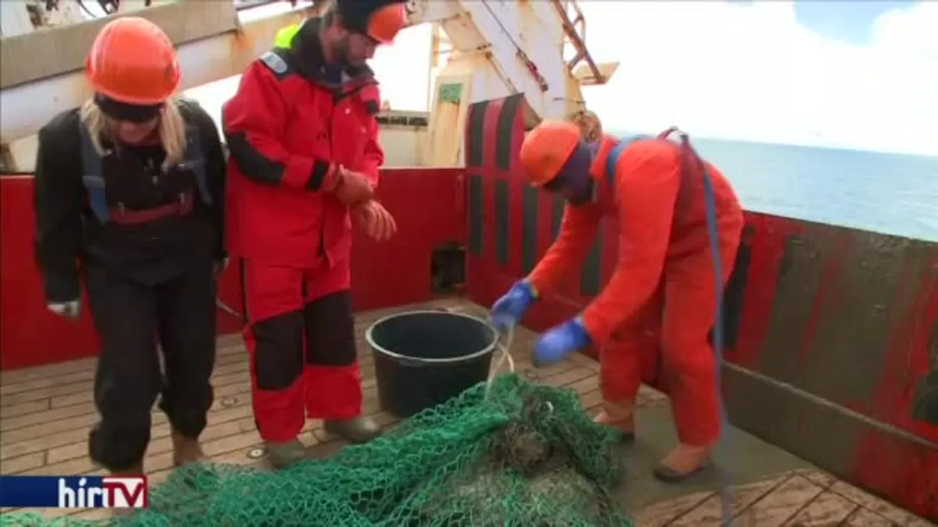 Felfedező – Nyomtatott