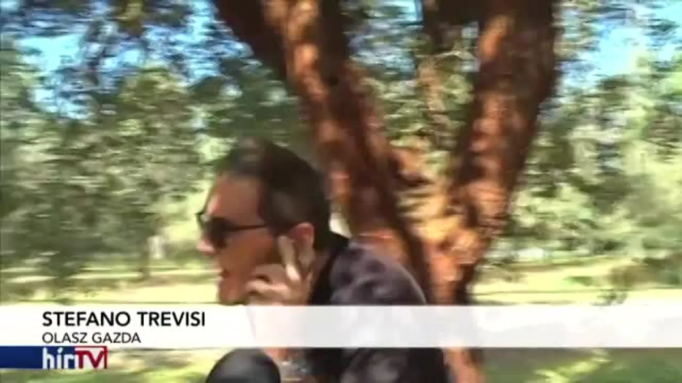 Felfedező – Tiszta horror