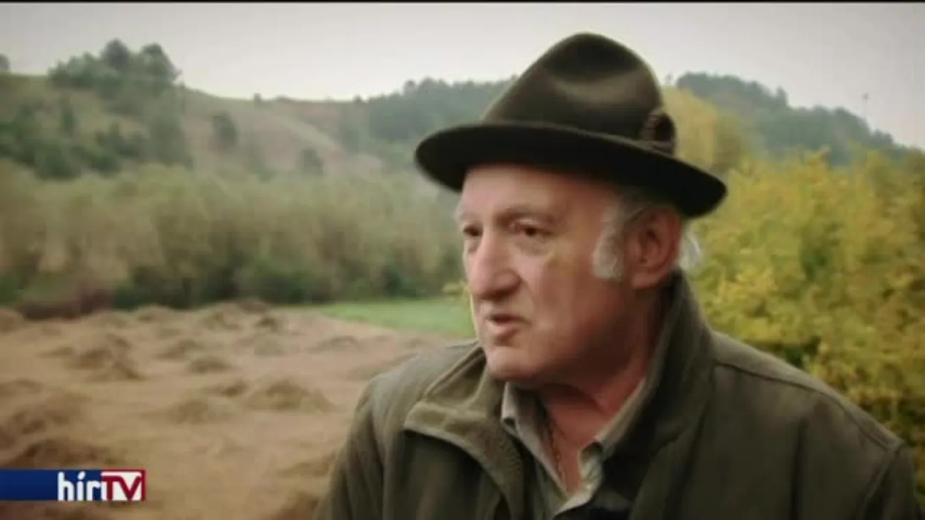 Panaszkönyv – Legelőt vett, de erdőtulajdonos lett