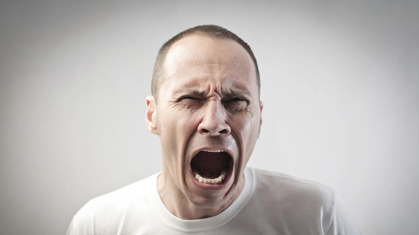 Tiszta horror – Felfedező