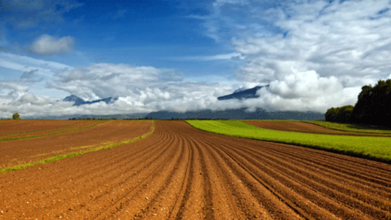 Földharc – Napról napra