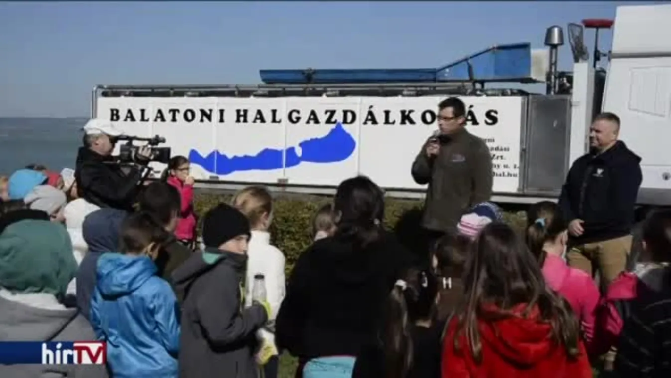 Pontyokat engedtek a Balatonba