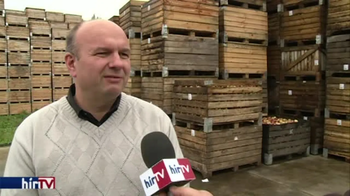 Soroló – Gyenge közepes az idei almatermés