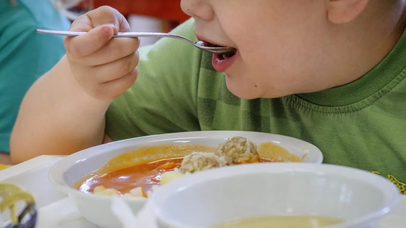 Sótlan a menza – Panaszkönyv