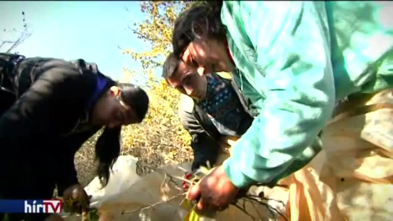 Látótér – Újra szól a hatlövetű a magyar Vadkeleten