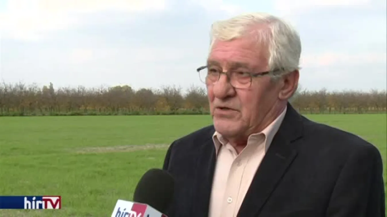 Soroló – Megmenthetik a végveszélyben lévő fajt