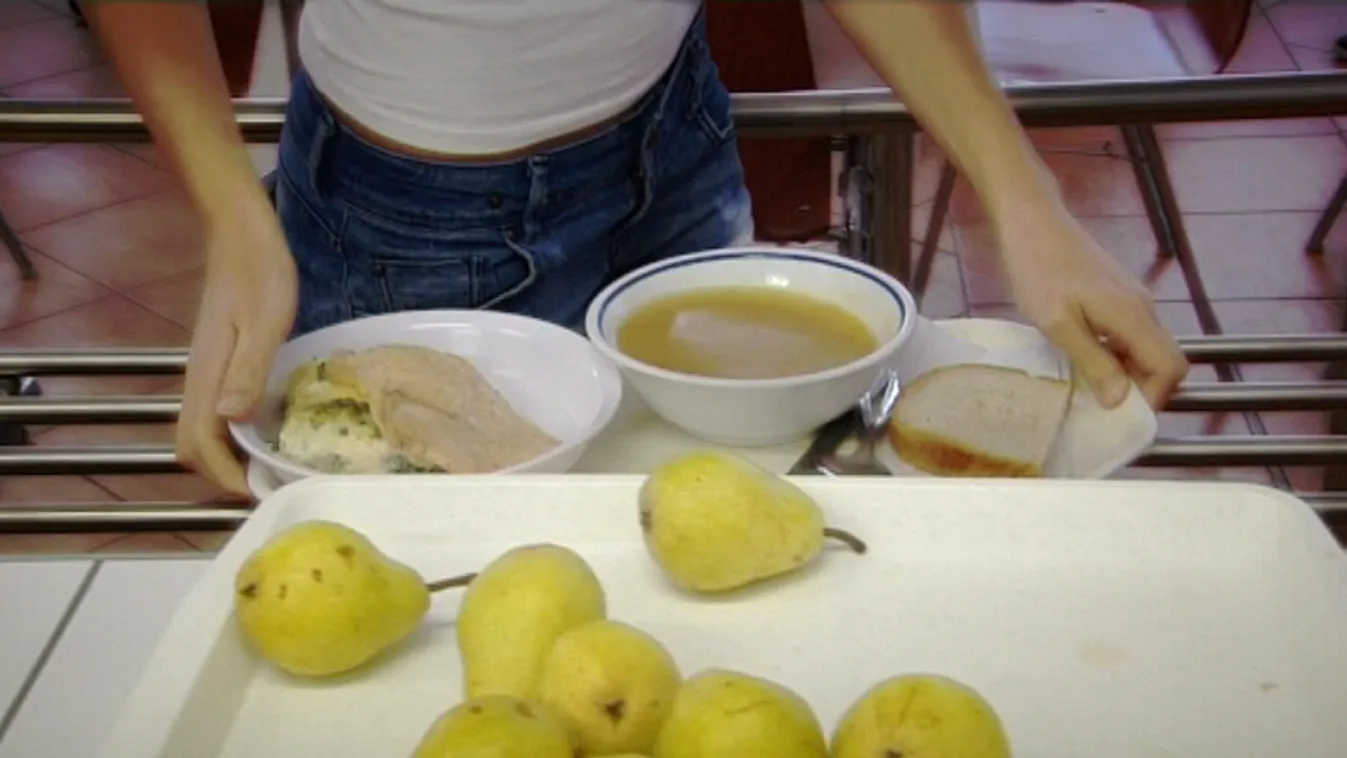 Menzarendelet – Panaszkönyv