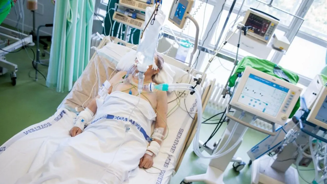 Fordulat – Magyarország élőben